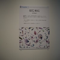 透明標本展に行ってきました