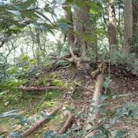 丸子城 駿河 その２ 　東海道を扼する規模が大きく城郭遺構がてんこ盛りの山城