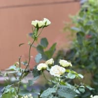 しなければいけない事