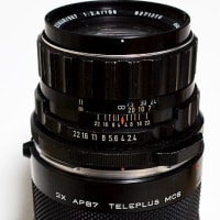 バケペン用のバケコン ~Kenko TELEPLUS MC6 2× AP67 - 迷レンズ探訪 バケペン用のバケコン ~Kenko TELEPLUS MC6 2× AP67 - 迷レンズ探訪