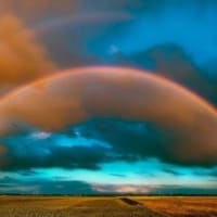 虹の夢