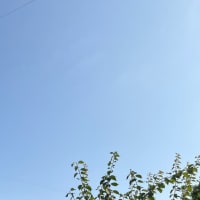 今年が終わる