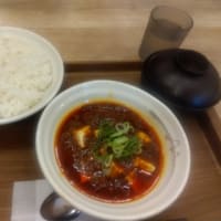 松屋よ、オレはガッカリだぞ！