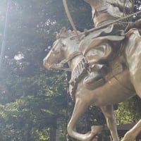 🌟　そっと見守り続けた二人の挙式　🌟