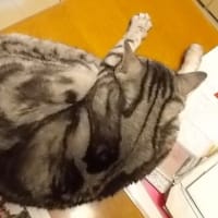 思い通りに進まない