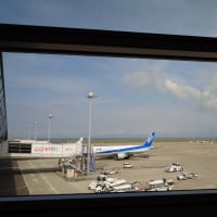 名古屋出張　202506