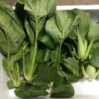 食料品補充