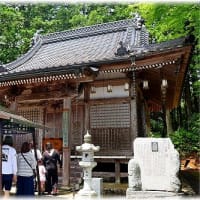 普門寺の紫陽花「岡山県真庭市田原山上」