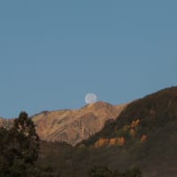 信州長期滞在の旅　第三日目　朝露満月や　白馬のもみじ　ご挨拶　　2019.10.16　「26」　№8