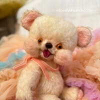 バニラちゃんと新緑猫ちゃん・・・ﾏﾏｻﾝﾊﾟﾊﾟｻﾝﾎﾞｼｭｳ~♪