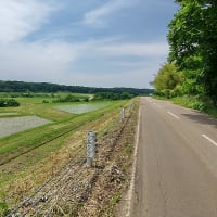数年ぶりに米山をぐるっと一周走ってきた・・・