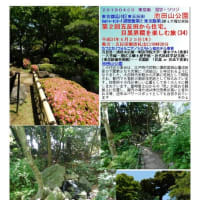施設案内東京-527　池田山公園　