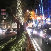 大阪　御堂筋　ライトアップな今年の冬