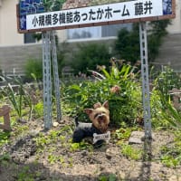 グッドモーニング🌞