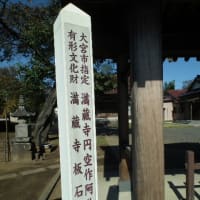 見沼代用水(55)・満蔵寺