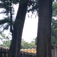 ７月の日記11.12 東海地区中堅神職研修会