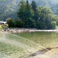 【釣】清流に癒されるも厳しい釣果　（2025/06/28　鮎　大洞川・小坂川）