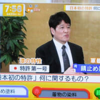 令和７年６月 のテレ朝の検定「お天気検定」・「エンタメ検定」「ことば検定スマート」に挑戦しました。
