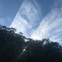 満月の夜に