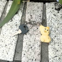 亀戸駅前の落とし物