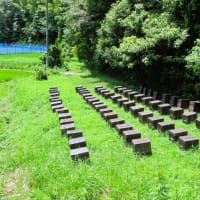 走り優先の日