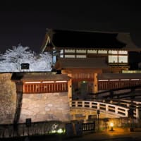 松代城のライトアップ６
