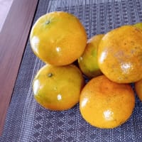 色んな果物が気軽に味わえる、南国チェンマイはフルーツ天国