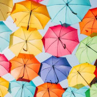 2025年、雨の日は「傘コーデ」で差をつける！