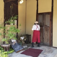 香川本鷹唐辛子