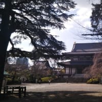 増上寺 (1598)  Zojoji