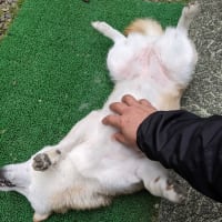 洗ったのに～