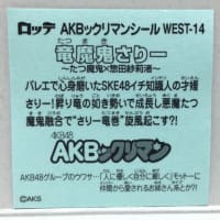 AKBックリマンチョコ コンプ旅1／30 〜チームWEST編〜