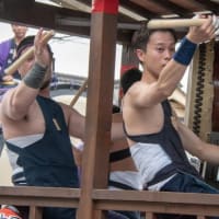 百万本のばらが咲き誇る広島県福山市　2025福山ばら祭　ローズパレードの主役は君だ！（前編）