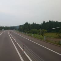 おまかせで！