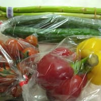 夏野菜まつり🥒