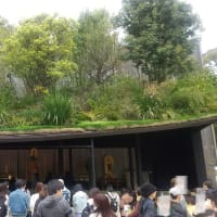 太宰府天満宮。
