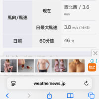 今年初の真夏日