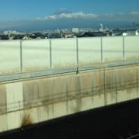 富士山見えました