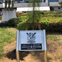 行った時に勝ってくれよ！！