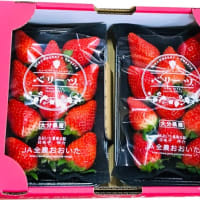 大分オリジナル品種『ベリーツ』🍓