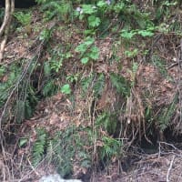 猛暑を避けて・・・上越方面