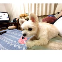 今日いち-2025年7月13日