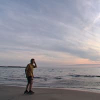 昨日の夕陽。