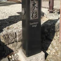 戸隠神社　中社　中社五斎神社　三本杉✨　へお礼参りに行きました　その②