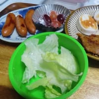 バイオネストを作ろう計画