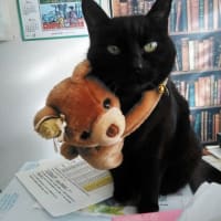 黒猫のクー