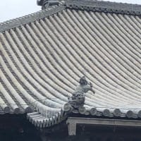 平成最後のショッピング