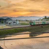 5月の4枚