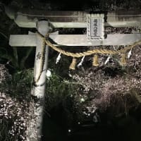 一年ぶりにムスメと行く自販機うどんツアー(とっておき喫茶店訪問付き)