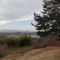 和爾坐赤阪比古神社（天理市和爾町）　「赤阪」を思わせる赤土山古墳とアタカタスの謎